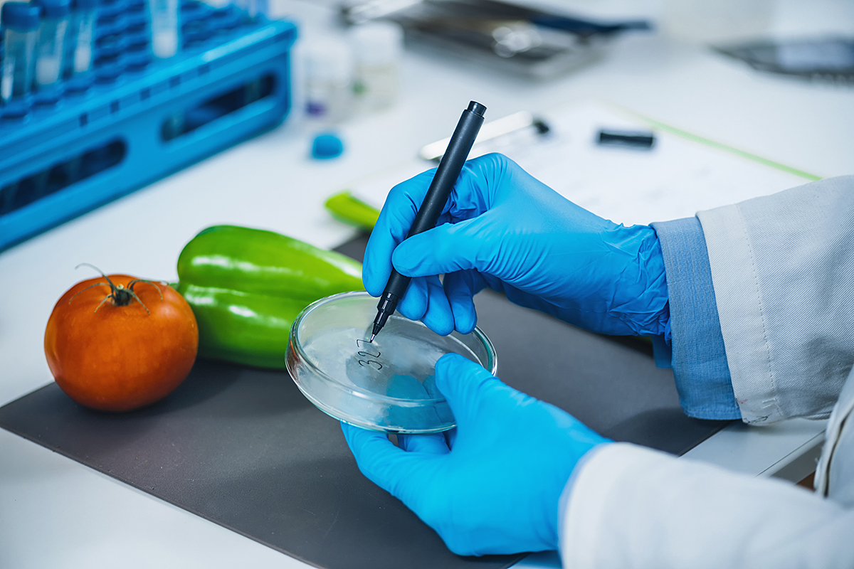 Food Sampling and Laboratory Process Step by Step